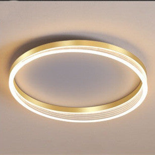 Romantic Ceiling Study Light